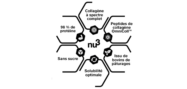 Propriétés du collagène hydrolysé nu3
