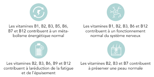 VItamines B pour l’énergie et les nerfs