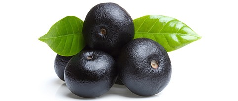 acai-rohstoff