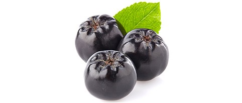 aronia-rohstoff