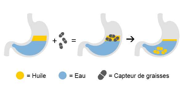 BEAVITA Capteurs de graisses - Effets