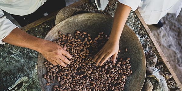 Fabrication du grué de cacao nu3