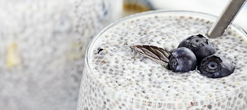 chia-utilisation