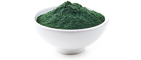 chlorella-rohstoff