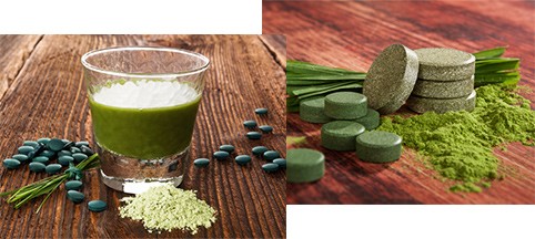 chlorella-verwendung