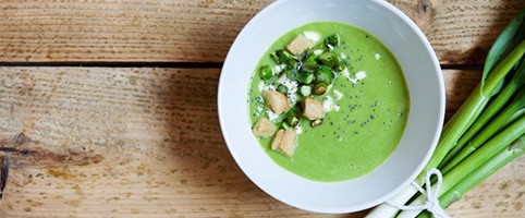 chlorella-verwendung