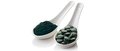 spirulina-brut