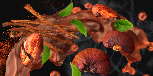 Ingrédients du Fit Cacao