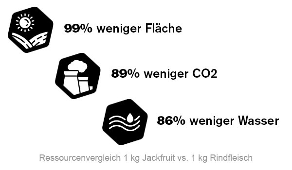 Ökobilanz Jackfruitburger