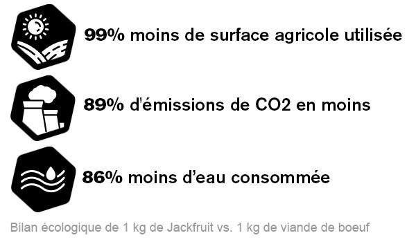 Jackfruit Burger : Bilan écologique