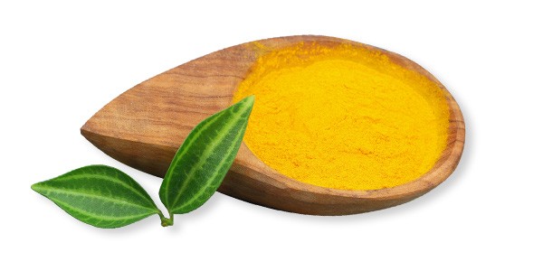 Curcuma_Racine