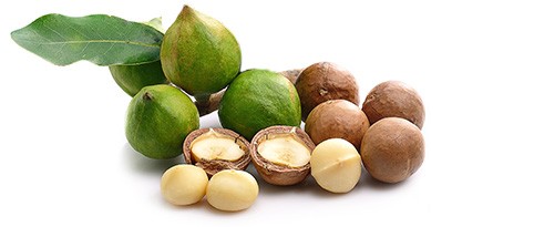 macadamia-rohstoff