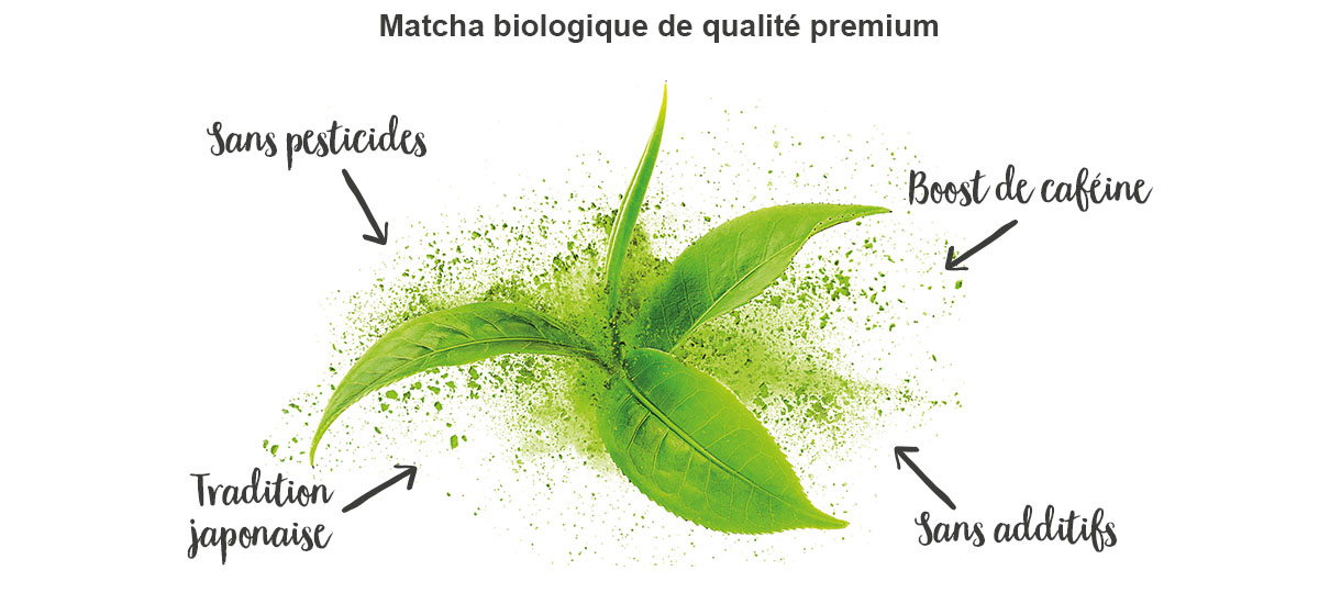 nu3 Poudre de thé vert matcha bio