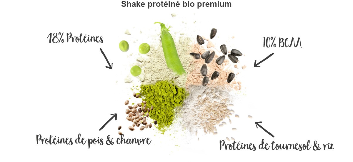 protein-shake-choco-avantages