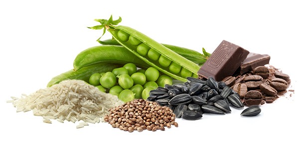 protein-shake-schoko-rohstoff